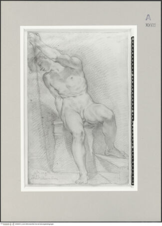 Vorderseite von bh585913_recto