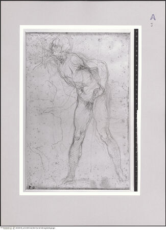 Vorderseite von bh585920_recto