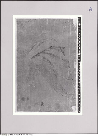 Vorderseite von bh585921_recto