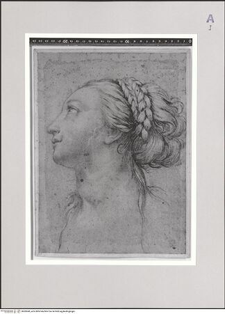 Vorderseite von bh585949_recto