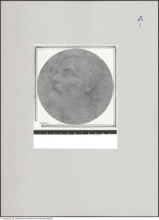 Vorderseite von bh585960_recto