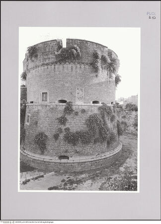 Vorderseite von bh585985_recto