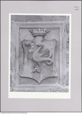 Vorderseite von bh586302_recto