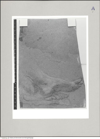 Vorderseite von Statens Museum for Kunst, Kopenhagen [https://www.deutsche-digitale-bibliothek.de/content/lizenzen/rv-ez/] Zwei gekreuzte Füße - , bh586469_recto. Foto.