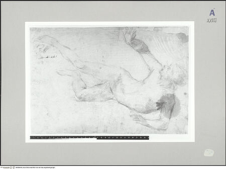 Vorderseite von bh586485_recto