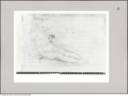 Vorderseite von bh586487_recto