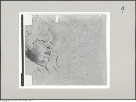 Vorderseite von bh586492_recto