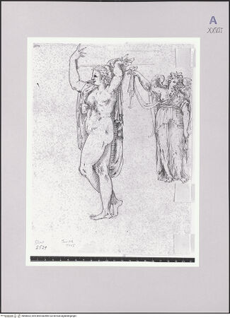 Vorderseite von bh586504_recto