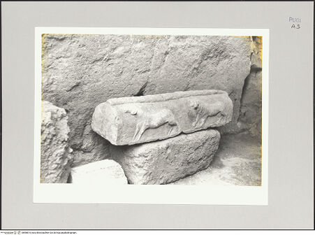 Vorderseite von bh586815_recto