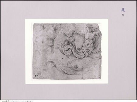 Vorderseite von bh586974_recto