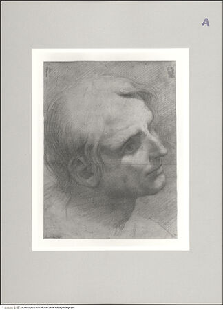 Vorderseite von bh586985_recto