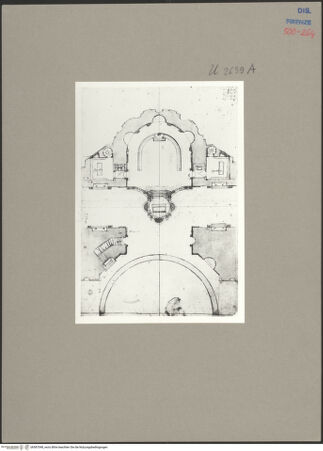 Vorderseite von Ravenna, Marco [https://www.deutsche-digitale-bibliothek.de/content/lizenzen/rv-ez/] Fußbodenmosaik mit Pflanzen, Vögeln und Fischen - Detail: Segment mit Pflanze und Vögeln, bh587048_recto. Foto: Ravenna, Marco.