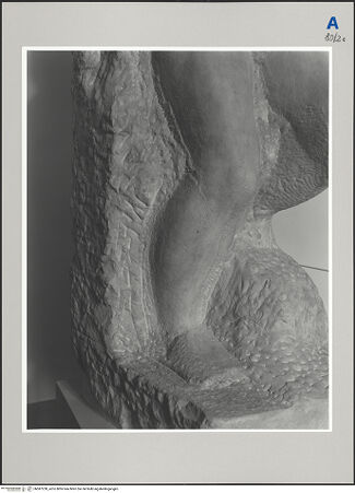 Vorderseite von bh587228_recto