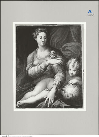 Vorderseite von Staatliche Kunstsammlung Dresden, Abteilung Foto/Repro [https://www.deutsche-digitale-bibliothek.de/content/lizenzen/rv-ez/] La Madonna della Rosa - Gesamtansicht, bh587505_recto. Foto.