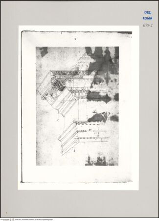 Vorderseite von Biblioteca Apostolica Vaticana [https://www.deutsche-digitale-bibliothek.de/content/lizenzen/rv-ez/] Aufnahme nach Gebälk und Fußprofil der Attika der Umfassunsgmauer des Nervaforums in Rom, den sogenannten Colonacce, Kopie nach fol. 19r - Gesamtansicht, bh587531_recto. Foto.