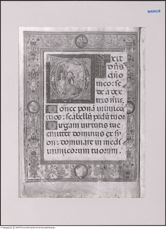 Vorderseite von unbekannt [https://www.deutsche-digitale-bibliothek.de/content/lizenzen/rv-ez/] David im Gebet - , bh587533_recto. Foto.