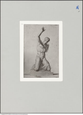 Vorderseite von Sopr BAS Fi [https://www.deutsche-digitale-bibliothek.de/content/lizenzen/rv-ez/] Narziss - , bh588265_recto. Foto.