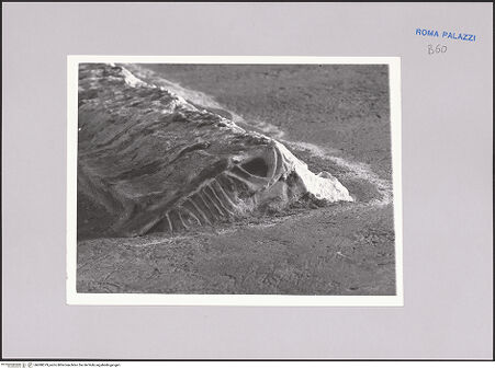 Vorderseite von bh588379_recto