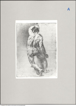 Vorderseite von Biblioteca Comunale, Fermo [https://www.deutsche-digitale-bibliothek.de/content/lizenzen/rv-ez/] Kniender männlicher Akt - , bh588580_recto. Foto.