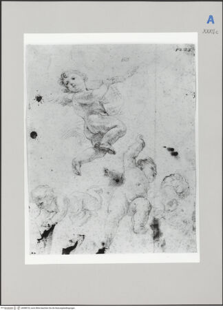 Vorderseite von Martin von Wagner Museum [https://www.deutsche-digitale-bibliothek.de/content/lizenzen/rv-ez/] Fliegende Engelsputten - , bh588723_recto. Foto.