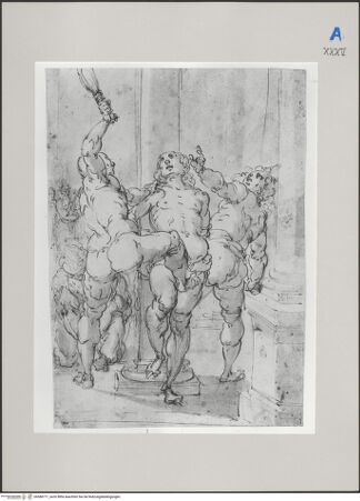 Vorderseite von Martin von Wagner Museum [https://www.deutsche-digitale-bibliothek.de/content/lizenzen/rv-ez/] Geißelung Christi - , bh588771_recto. Foto.