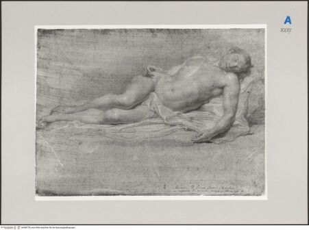 Vorderseite von Martin von Wagner Museum [https://www.deutsche-digitale-bibliothek.de/content/lizenzen/rv-ez/] Toter Christus - , bh588778_recto. Foto.