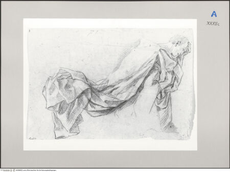 Vorderseite von Martin von Wagner Museum [https://www.deutsche-digitale-bibliothek.de/content/lizenzen/rv-ez/] Jüngling mit großem Umhang - , bh588829_recto. Foto.