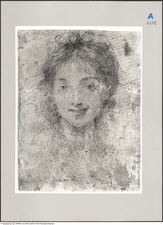 Vorderseite von Martin von Wagner Museum [https://www.deutsche-digitale-bibliothek.de/content/lizenzen/rv-ez/] Weiblicher Kopf - , bh588860_recto. Foto.