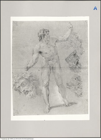 Vorderseite von Martin von Wagner Museum [https://www.deutsche-digitale-bibliothek.de/content/lizenzen/rv-ez/] David mit dem Haupt des Goliath - , bh588867_recto. Foto.