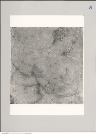 Vorderseite von Martin von Wagner Museum [https://www.deutsche-digitale-bibliothek.de/content/lizenzen/rv-ez/] Weibliche Halbfigur - , bh588912_recto. Foto.