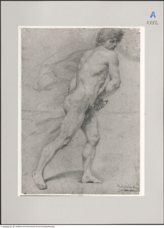 Vorderseite von Martin von Wagner Museum [https://www.deutsche-digitale-bibliothek.de/content/lizenzen/rv-ez/] Schreitender männlicher Akt - , bh588944_recto. Foto.