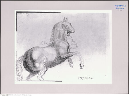 Vorderseite von Martin von Wagner Museum [https://www.deutsche-digitale-bibliothek.de/content/lizenzen/rv-ez/] Studie zu einem Pferd - , bh588964_recto. Foto.