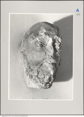 Vorderseite von Soprintendenza per i Beni Ambientali Architettonici Artistici e Storici Perugia [https://www.deutsche-digitale-bibliothek.de/content/lizenzen/rv-ez/] Ehemalige Ausstattung des Oratorio della Maestà delle Volte di PerugiaMännlicher Kopf - , bh589071_recto. Foto: Bellu, Sandro.