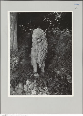 Vorderseite von unbekannt [https://www.deutsche-digitale-bibliothek.de/content/lizenzen/rv-fz/] Löwe - Ansicht von vorne, bh589265_recto. Foto.