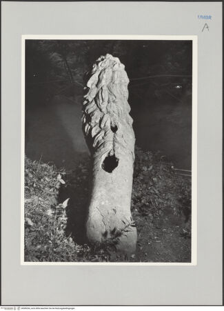 Vorderseite von unbekannt [https://www.deutsche-digitale-bibliothek.de/content/lizenzen/rv-fz/] Löwe - Ansicht von hinten, bh589266_recto. Foto.