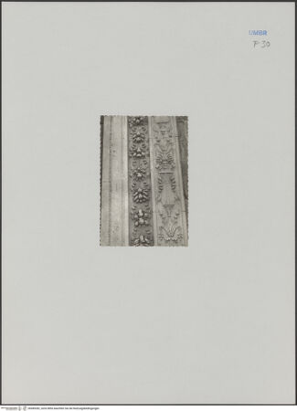 Vorderseite von Bibliotheca Hertziana [https://www.deutsche-digitale-bibliothek.de/content/lizenzen/rv-fz/] HauptportalOrnamentale Pilasterrahmung - Portalrahmung, rechter Pilaster, bh589282_recto. Foto: Negri Arnoldi, Francesco.