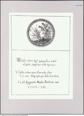 Vorderseite von Biblioteca Apostolica Vaticana [https://www.deutsche-digitale-bibliothek.de/content/lizenzen/rv-ez/] Impresenbuch für Papst Urban VIII.Imprese mit einem verdorrten und einem blühenden Rosenbusch - , bh589335_recto. Foto.