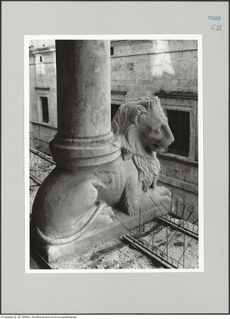 Vorderseite von Sigismondi, Roberto [https://rightsstatements.org/page/CNE/1.0/] Palazzo Neri-OrselliFassade - Fassade, Detail: Säulentragender Löwe, bh589621_recto. Foto: Sigismondi, Roberto.