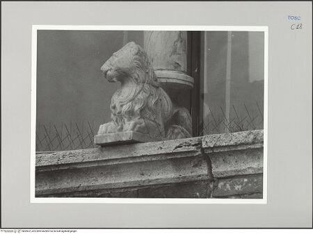Vorderseite von Sigismondi, Roberto [https://rightsstatements.org/page/CNE/1.0/] Palazzo Neri-OrselliFassade - Fassade, Detail: Säulentragender Löwe, bh589622_recto. Foto: Sigismondi, Roberto.