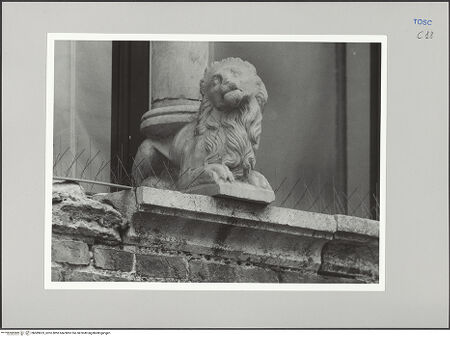 Vorderseite von Sigismondi, Roberto [https://rightsstatements.org/page/CNE/1.0/] Palazzo Neri-OrselliFassade - Fassade, Detail: Säulentragender Löwe, bh589623_recto. Foto: Sigismondi, Roberto.