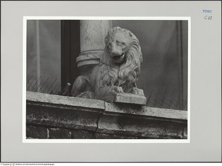 Vorderseite von Sigismondi, Roberto [https://rightsstatements.org/page/CNE/1.0/] Palazzo Neri-OrselliFassade - Fassade, Detail: Säulentragender Löwe, bh589624_recto. Foto: Sigismondi, Roberto.