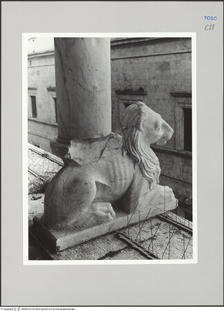 Vorderseite von Sigismondi, Roberto [https://rightsstatements.org/page/CNE/1.0/] Palazzo Neri-OrselliFassade - Fassade, Detail: Säulentragender Löwe, bh589625_recto. Foto: Sigismondi, Roberto.