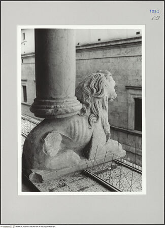 Vorderseite von Sigismondi, Roberto [https://rightsstatements.org/page/CNE/1.0/] Palazzo Neri-OrselliFassade - Fassade, Detail: Säulentragender Löwe, bh589626_recto. Foto: Sigismondi, Roberto.