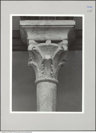 Vorderseite von Sigismondi, Roberto [https://rightsstatements.org/page/CNE/1.0/] Palazzo Neri-OrselliFassade - Fassade, Detail: Kapitell, bh589627_recto. Foto: Sigismondi, Roberto.