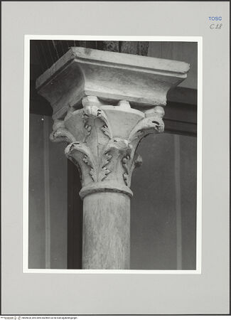 Vorderseite von Sigismondi, Roberto [https://rightsstatements.org/page/CNE/1.0/] Palazzo Neri-OrselliFassade - Fassade, Detail: Kapitell, bh589628_recto. Foto: Sigismondi, Roberto.