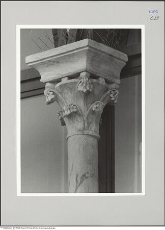 Vorderseite von Sigismondi, Roberto [https://rightsstatements.org/page/CNE/1.0/] Palazzo Neri-OrselliFassade - Fassade, Detail: Kapitell, bh589629_recto. Foto: Sigismondi, Roberto.