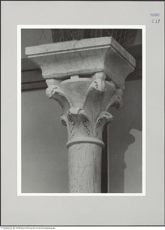 Vorderseite von Sigismondi, Roberto [https://rightsstatements.org/page/CNE/1.0/] Palazzo Neri-OrselliFassade - Fassade, Detail: Kapitell, bh589630_recto. Foto: Sigismondi, Roberto.