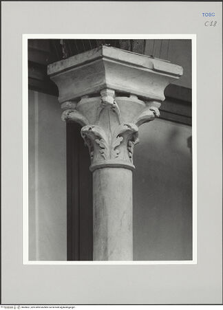 Vorderseite von Sigismondi, Roberto [https://rightsstatements.org/page/CNE/1.0/] Palazzo Neri-OrselliFassade - Fassade, Detail: Kapitell, bh589631_recto. Foto: Sigismondi, Roberto.