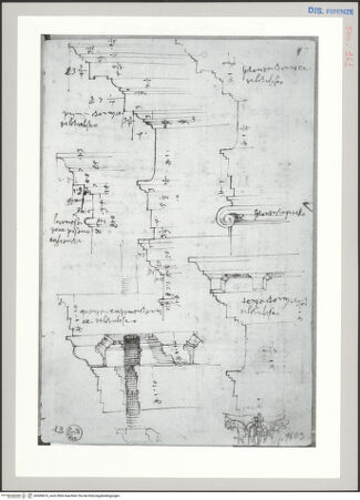 Vorderseite von Sopr BAS FI [http://creativecommons.org/publicdomain/mark/1.0/] Rom, Kolosseum, Studien nach Gebälken der Ordnungen mit detaillierten Maßangaben - , bh589674_recto. Foto.