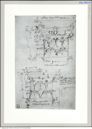 Vorderseite von Sopr BAS FI [http://creativecommons.org/publicdomain/mark/1.0/] Florenz, Aufriss zweier Kapitelle aus SS. Apostoli und aus dem Baptisterium mit Maßangaben - , bh589683_recto. Foto.